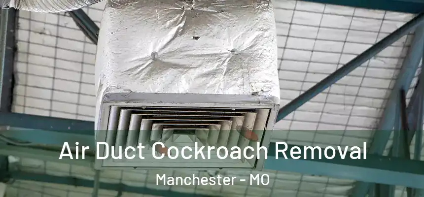  Air Duct Cockroach Removal Manchester - MO