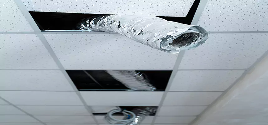 Our Air Duct Pet Hair Removal Services in Manchester, MO