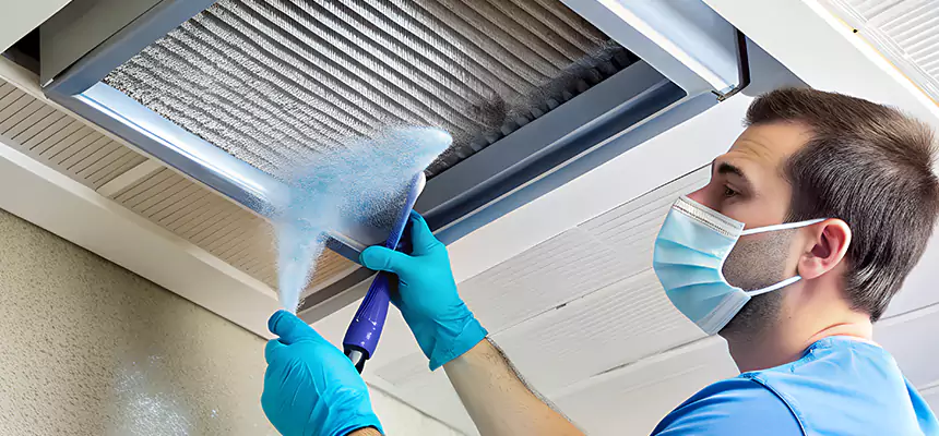 Proactive Dryer Vent & Auxiliary Duct Pollen Cleanup in Manchester, MO