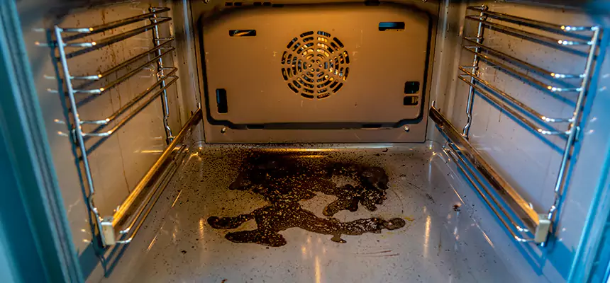 Our Dryer Vent Mold Cleaning Services in Manchester, MO