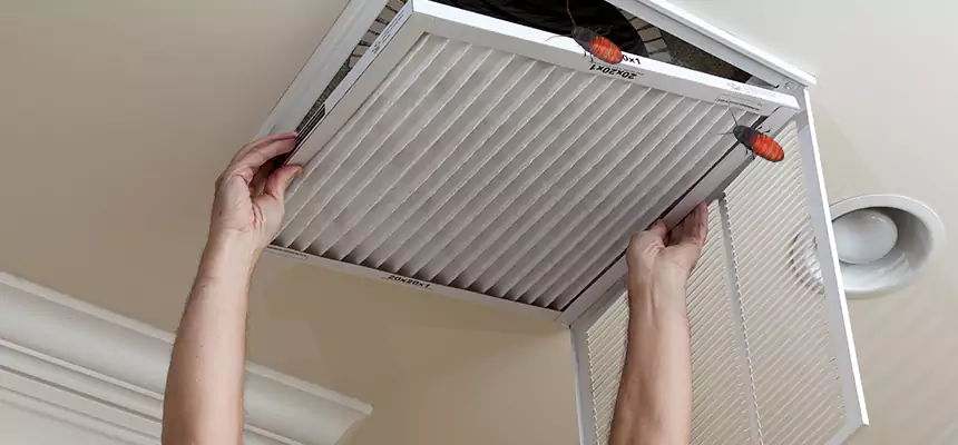 Our Insect Removal from Air Ducts Services in Manchester, MO