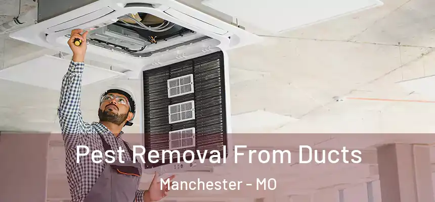  Pest Removal From Ducts Manchester - MO