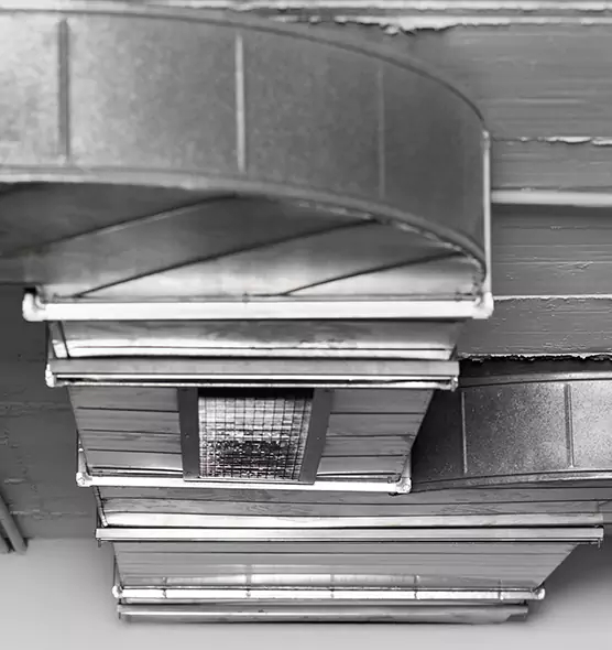 Professional Air Duct Pest Removal in Manchester, MO