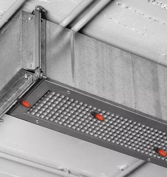 Affordable Insect Removal from Air Ducts in Manchester, MO