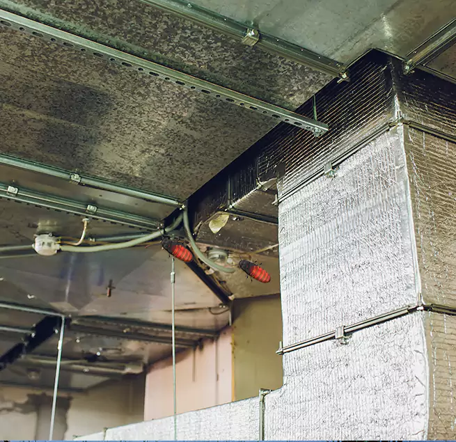 Why Homeowners & Businesses Trust Us in Manchester, MO?