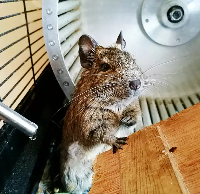 Why Homeowners & Businesses Trust Us Manchester, MO?