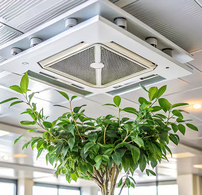 Why Homeowners & Businesses Trust Us in Manchester, MO?